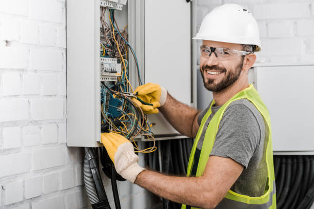 Best Electric Panel Repair  in Cortez, FL